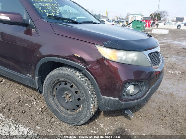 2011 Kia Sorento Ex მანქანა იყიდება აუქციონზე, vin: 5XYKUDA24BG167396, აუქციონის ნომერი: 12566387