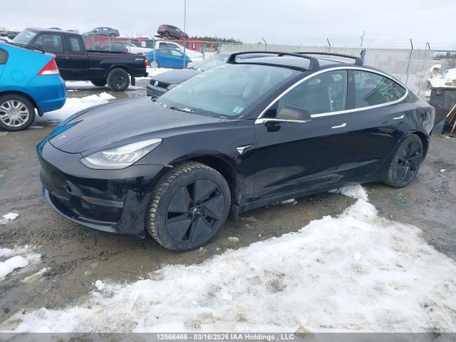 Aukcja sprzedaży 2020 Tesla Model 3 Standard Range Plus, vin: 5YJ3E1EA7LF715076, numer aukcji: 12566466