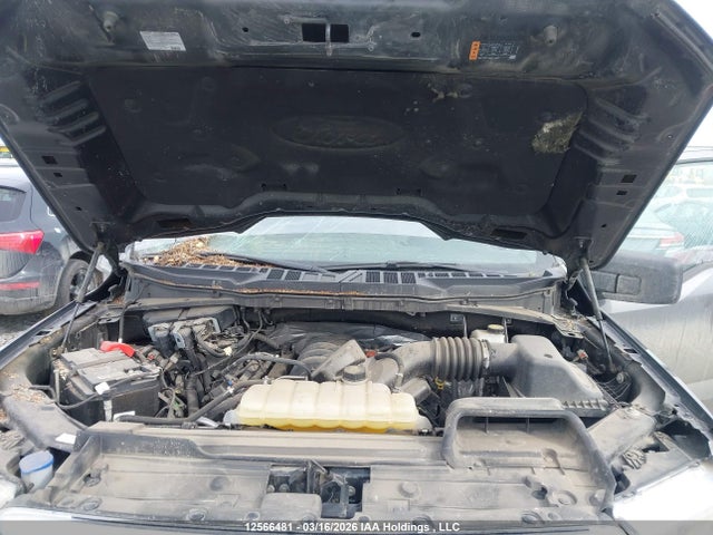 1FTFW1E5XNKF15120 Ford F-150 Xlt
