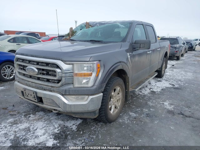 1FTFW1E5XNKF15120 Ford F-150 Xlt