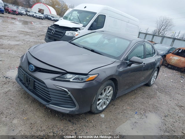 12566487 :رقم المزاد ، 4T1C31AK3MU032123 vin ، 2021 Toyota Camry Le مزاد بيع