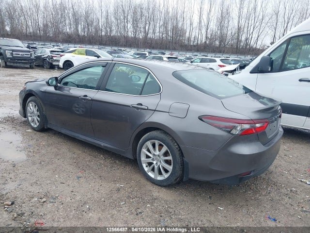 12566487 :رقم المزاد ، 4T1C31AK3MU032123 vin ، 2021 Toyota Camry Le مزاد بيع