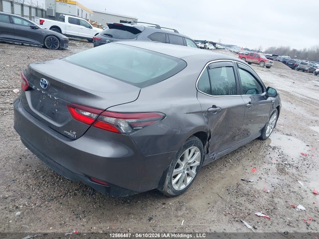 12566487 :رقم المزاد ، 4T1C31AK3MU032123 vin ، 2021 Toyota Camry Le مزاد بيع