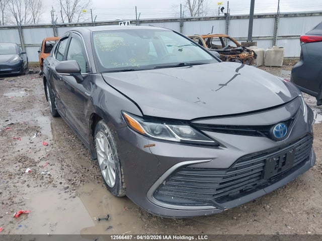 12566487 :رقم المزاد ، 4T1C31AK3MU032123 vin ، 2021 Toyota Camry Le مزاد بيع