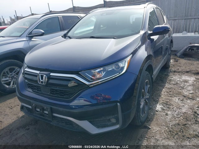 2HKRW2H86LH218981 Honda Cr-v Ex-l