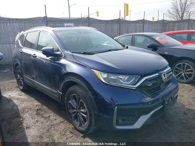 2HKRW2H86LH218981 Honda Cr-v Ex-l