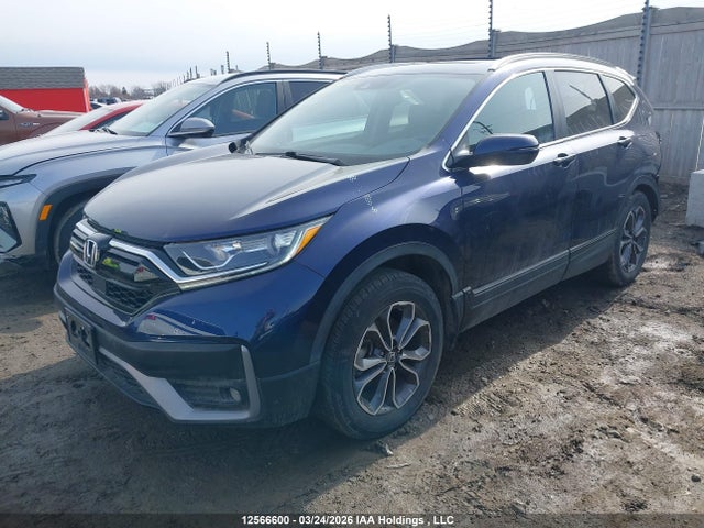 2HKRW2H86LH218981 Honda Cr-v Ex-l