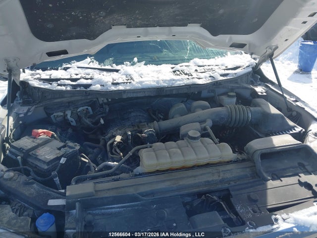 Продажа на аукционе авто 2021 Ford F-150 Xlt, vin: 1FTEW1EB4MKE26546, номер лота: 12566604