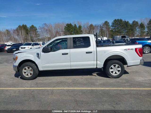 Продажа на аукционе авто 2021 Ford F-150 Xlt, vin: 1FTEW1EB4MKE26546, номер лота: 12566604