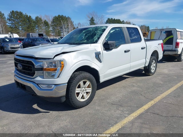 Продажа на аукционе авто 2021 Ford F-150 Xlt, vin: 1FTEW1EB4MKE26546, номер лота: 12566604