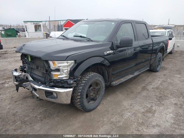 1FTFW1EF1GKE27438 Ford F-150 Xlt