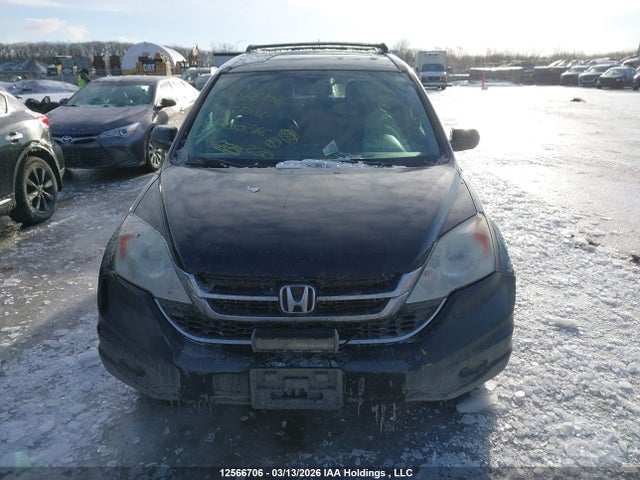 12566706 :رقم المزاد ، 5J6RE4H78AL800346 vin ، 2010 Honda Cr-v مزاد بيع