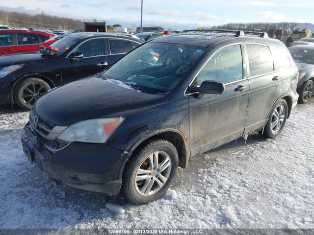 12566706 :رقم المزاد ، 5J6RE4H78AL800346 vin ، 2010 Honda Cr-v مزاد بيع