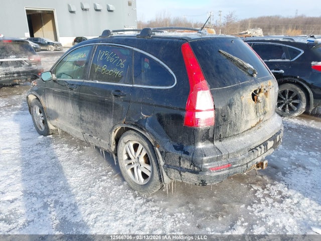 12566706 :رقم المزاد ، 5J6RE4H78AL800346 vin ، 2010 Honda Cr-v مزاد بيع