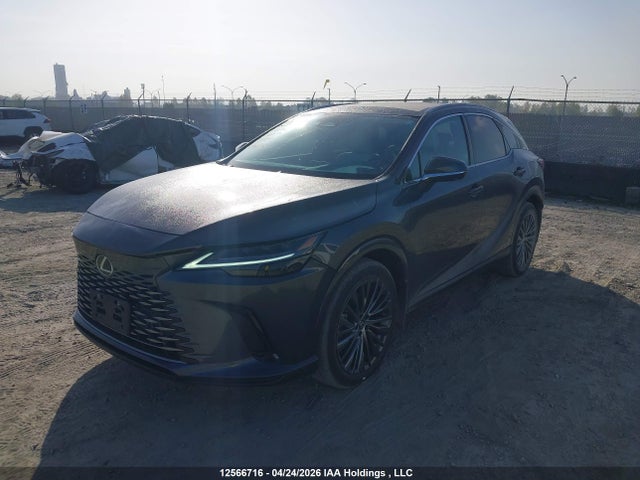 Продаж на аукціоні авто 2024 Lexus Rx 350h Base/350h Premium/350h Premium Plus/350h Luxury, vin: 2T2BBMCA3RC052476, номер лоту: 12566716