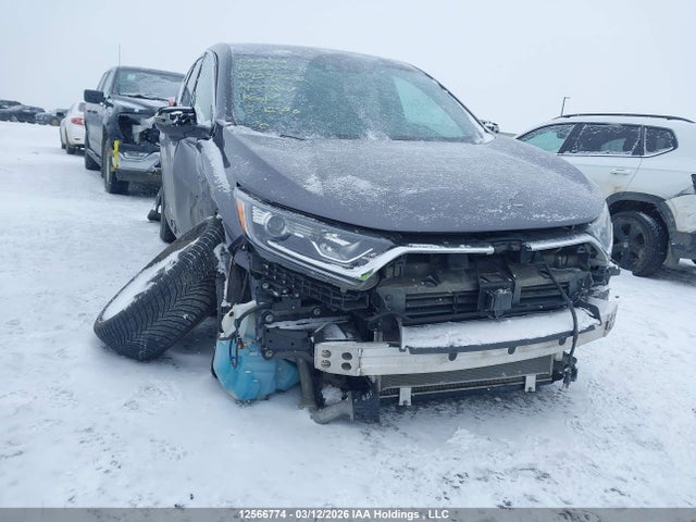 Продаж на аукціоні авто 2019 Honda Cr-v Exl, vin: 2HKRW2H89KH127282, номер лоту: 12566774