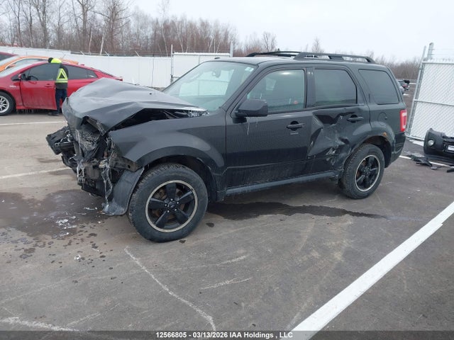 Aukcja sprzedaży 2011 Ford Escape Xlt, vin: 1FMCU9DGXBKB06245, numer aukcji: 12566805