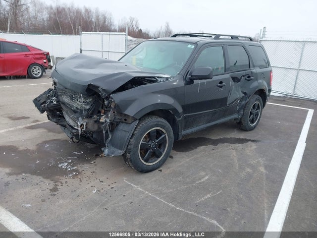 Aukcja sprzedaży 2011 Ford Escape Xlt, vin: 1FMCU9DGXBKB06245, numer aukcji: 12566805
