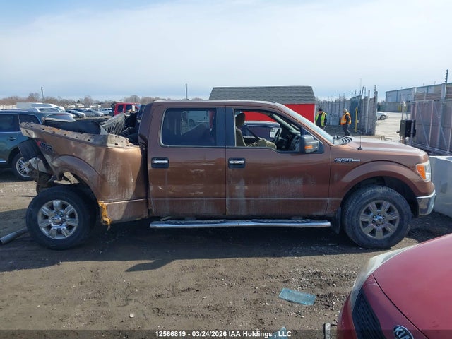 12566819 :رقم المزاد ، 1FTFW1EFXBFA01569 vin ، 2011 Ford F-150 مزاد بيع