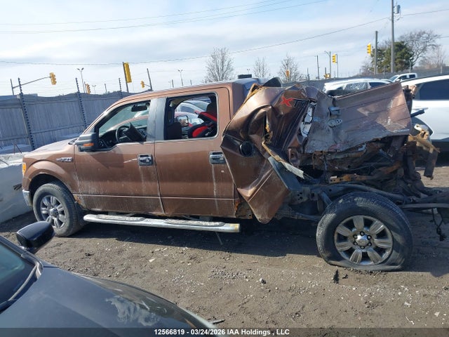 12566819 :رقم المزاد ، 1FTFW1EFXBFA01569 vin ، 2011 Ford F-150 مزاد بيع
