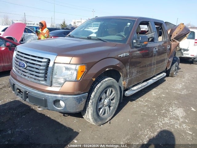 12566819 :رقم المزاد ، 1FTFW1EFXBFA01569 vin ، 2011 Ford F-150 مزاد بيع