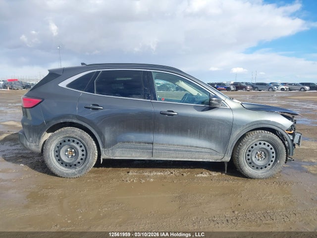 12561959 :رقم المزاد ، 1FMCU9DZ5LUA87935 vin ، 2020 Ford Escape Titanium Hybrid مزاد بيع
