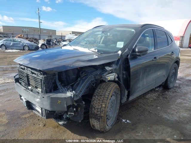 12561959 :رقم المزاد ، 1FMCU9DZ5LUA87935 vin ، 2020 Ford Escape Titanium Hybrid مزاد بيع