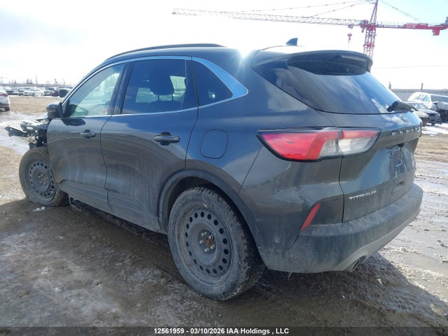 12561959 :رقم المزاد ، 1FMCU9DZ5LUA87935 vin ، 2020 Ford Escape Titanium Hybrid مزاد بيع