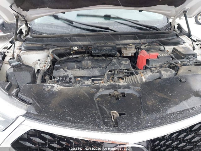 5J8TC2H75KL805237 Acura Rdx Elite