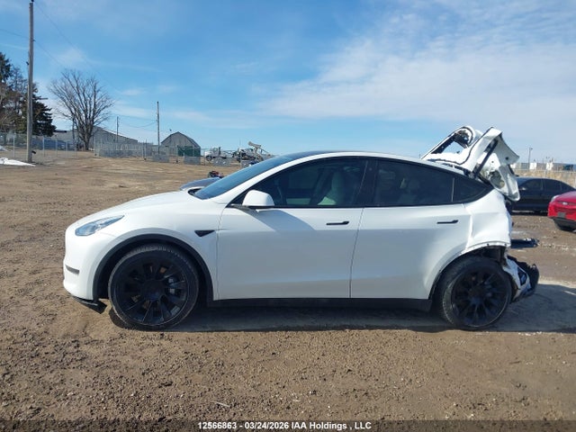 12566863 :رقم المزاد ، 7SAYGDEE6NF368432 vin ، 2022 Tesla Model Y Long Range مزاد بيع