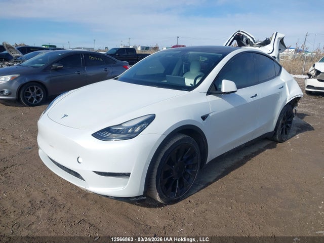 12566863 :رقم المزاد ، 7SAYGDEE6NF368432 vin ، 2022 Tesla Model Y Long Range مزاد بيع