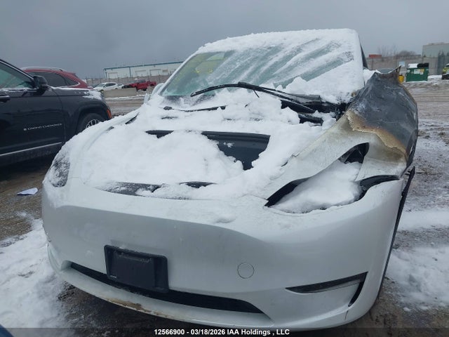Продаж на аукціоні авто 2023 Tesla Model Y Long Range, vin: 7SAYGDEE3PF596004, номер лоту: 12566900