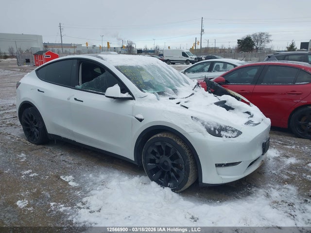 Продаж на аукціоні авто 2023 Tesla Model Y Long Range, vin: 7SAYGDEE3PF596004, номер лоту: 12566900