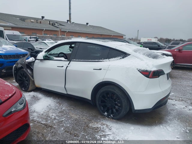 Продаж на аукціоні авто 2023 Tesla Model Y Long Range, vin: 7SAYGDEE3PF596004, номер лоту: 12566900