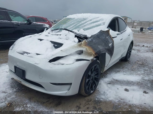 Продаж на аукціоні авто 2023 Tesla Model Y Long Range, vin: 7SAYGDEE3PF596004, номер лоту: 12566900