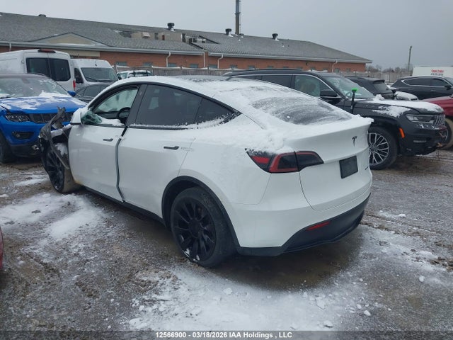 Продаж на аукціоні авто 2023 Tesla Model Y Long Range, vin: 7SAYGDEE3PF596004, номер лоту: 12566900