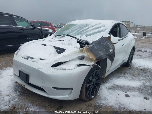 Продаж на аукціоні авто 2023 Tesla Model Y Long Range, vin: 7SAYGDEE3PF596004, номер лоту: 12566900