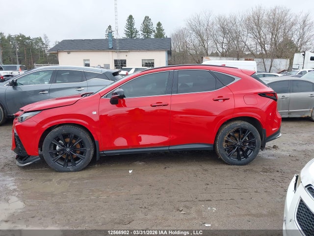 Auction sale of the 2024 Lexus Nx 350, vin: 2T2KGCEZ1RC045315, lot number: 12566902