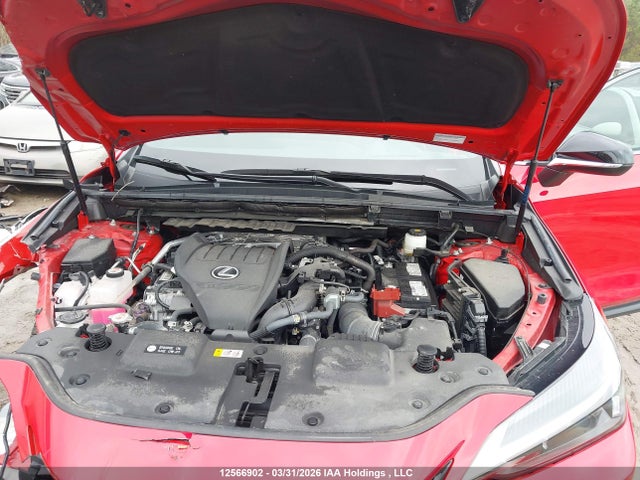 Auction sale of the 2024 Lexus Nx 350, vin: 2T2KGCEZ1RC045315, lot number: 12566902