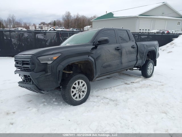 12567011 :رقم المزاد ، 3TYLB5JN0RT005289 vin ، 2024 Toyota Tacoma Double Cab/sr5/trd Sport/trd Off Road/ltd مزاد بيع