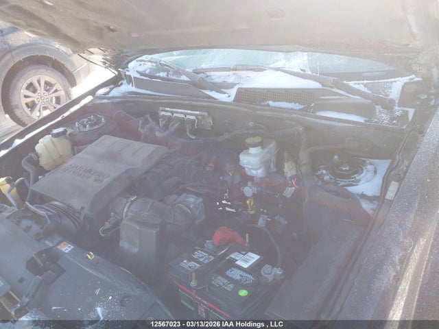 12567023 :رقم المزاد ، 1FMCU0DG7BKC00787 vin ، 2011 Ford Escape Xlt Automatic مزاد بيع