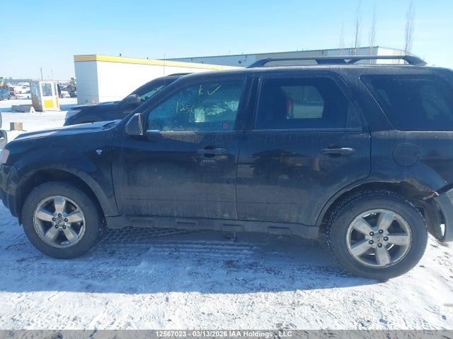 12567023 :رقم المزاد ، 1FMCU0DG7BKC00787 vin ، 2011 Ford Escape Xlt Automatic مزاد بيع