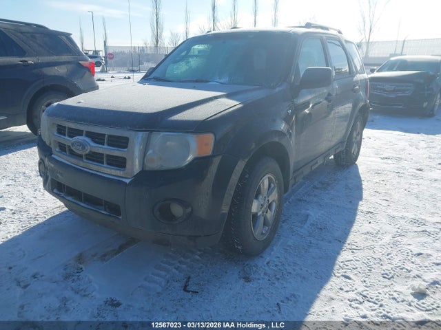 12567023 :رقم المزاد ، 1FMCU0DG7BKC00787 vin ، 2011 Ford Escape Xlt Automatic مزاد بيع