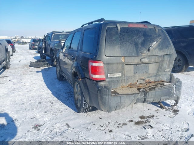 12567023 :رقم المزاد ، 1FMCU0DG7BKC00787 vin ، 2011 Ford Escape Xlt Automatic مزاد بيع