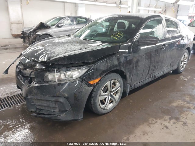 Продаж на аукціоні авто 2016 Honda Civic Lx, vin: 2HGFC2F58GH003302, номер лоту: 12567036