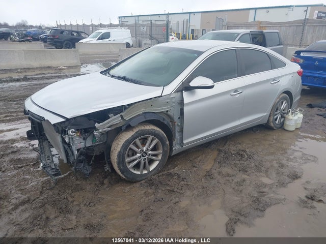 5NPE24AF7FH207135 Hyundai SONATA SE