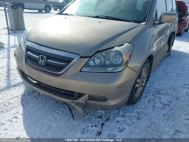 Продаж на аукціоні авто 2005 Honda Odyssey Ex-l, vin: 5FNRL38735B508604, номер лоту: 12567100