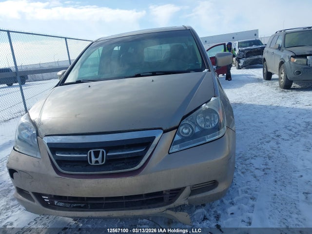 Продаж на аукціоні авто 2005 Honda Odyssey Ex-l, vin: 5FNRL38735B508604, номер лоту: 12567100