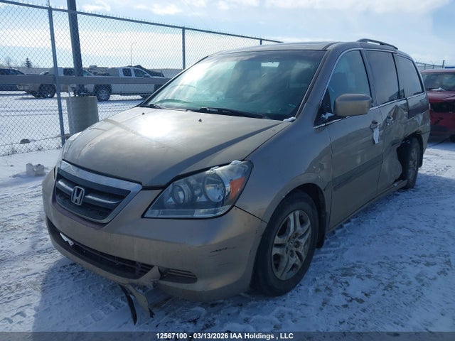 Продаж на аукціоні авто 2005 Honda Odyssey Ex-l, vin: 5FNRL38735B508604, номер лоту: 12567100