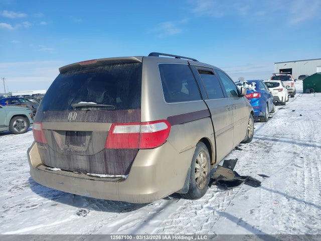 Продаж на аукціоні авто 2005 Honda Odyssey Ex-l, vin: 5FNRL38735B508604, номер лоту: 12567100